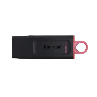 FLASH DISK KINGSTON EXODIA DATATRAVELER USB 3.2 256GB
