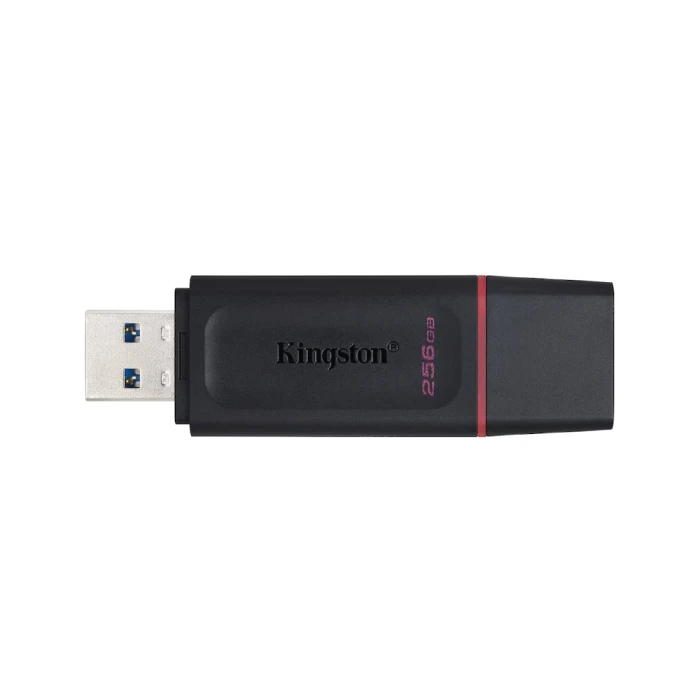 FLASH DISK KINGSTON EXODIA DATATRAVELER USB 3.2 256GB